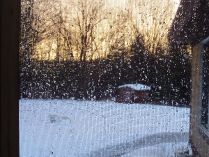 Friday evening rain...