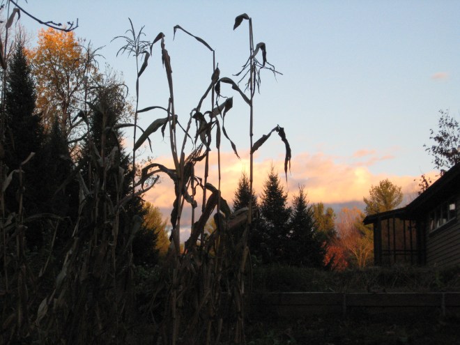 Where you can write and learn in the beauty of fall, at Still Point Retreat Center.