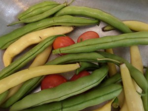 SAMSUNG CAMERA PICTURES