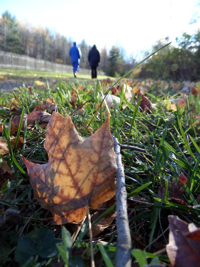 Meditative walking, part of the wonderful November weekend at Still Point.