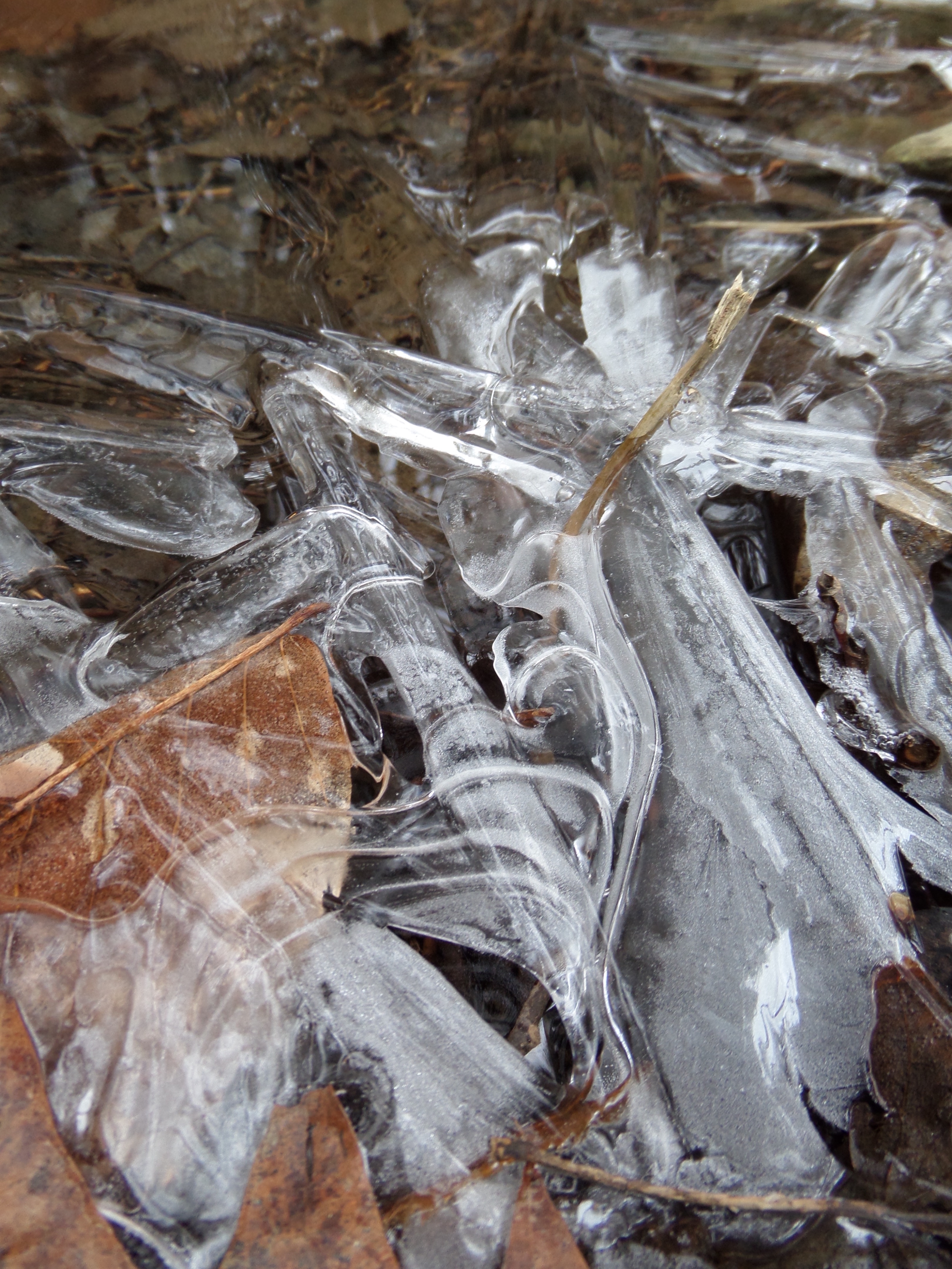 SAMSUNG CAMERA PICTURES