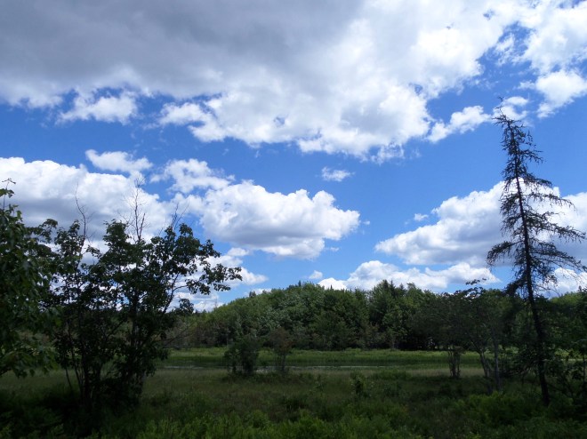 Light over the water: breathe in the calm.