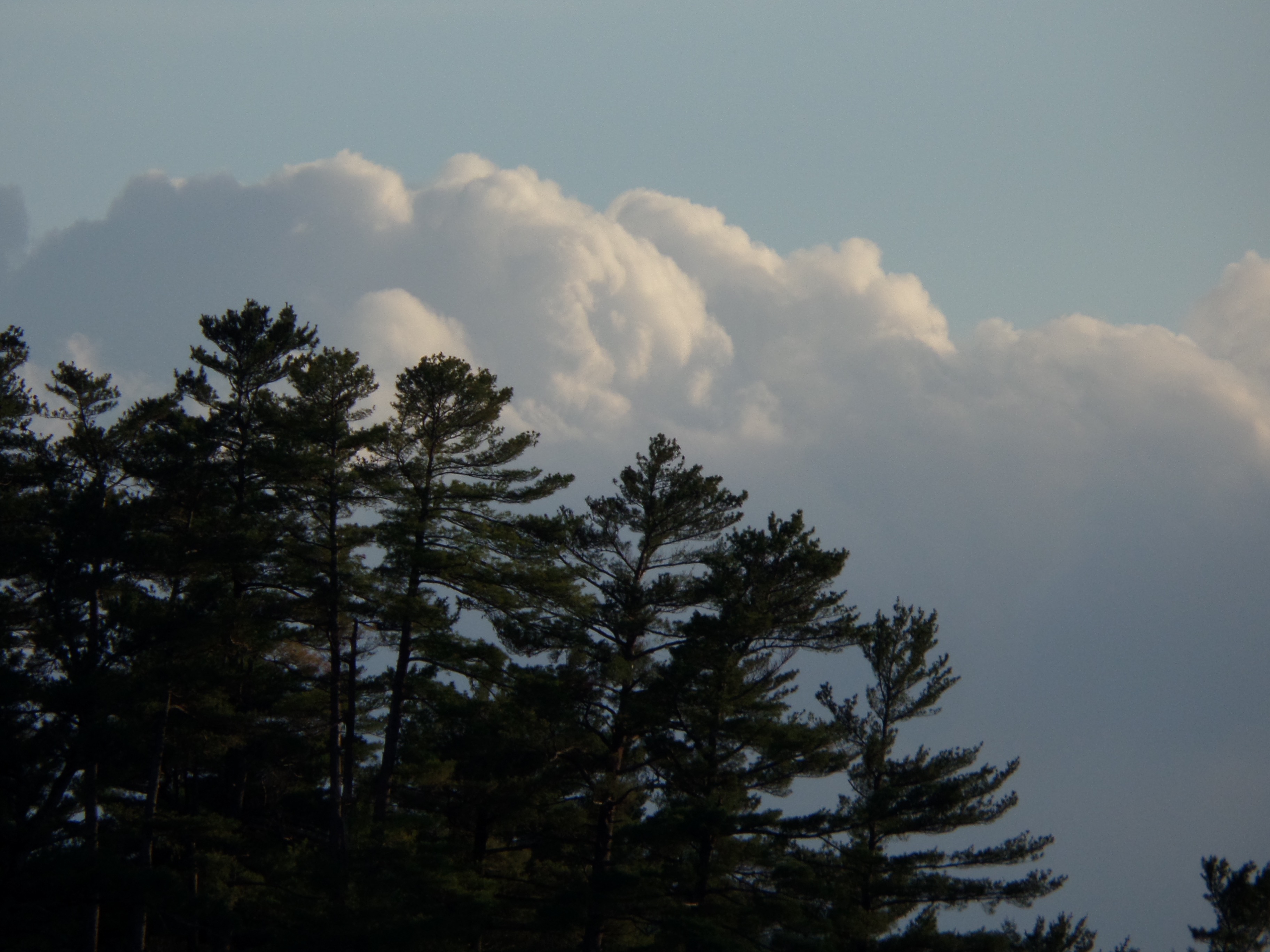 SAMSUNG CAMERA PICTURES