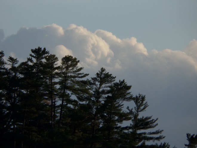 SAMSUNG CAMERA PICTURES